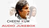 Cheeni Kum Hindi Movie Songs